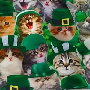 Uniquely Designed Kitty St. Patty Pants